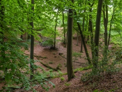Uedemer Hochwald II