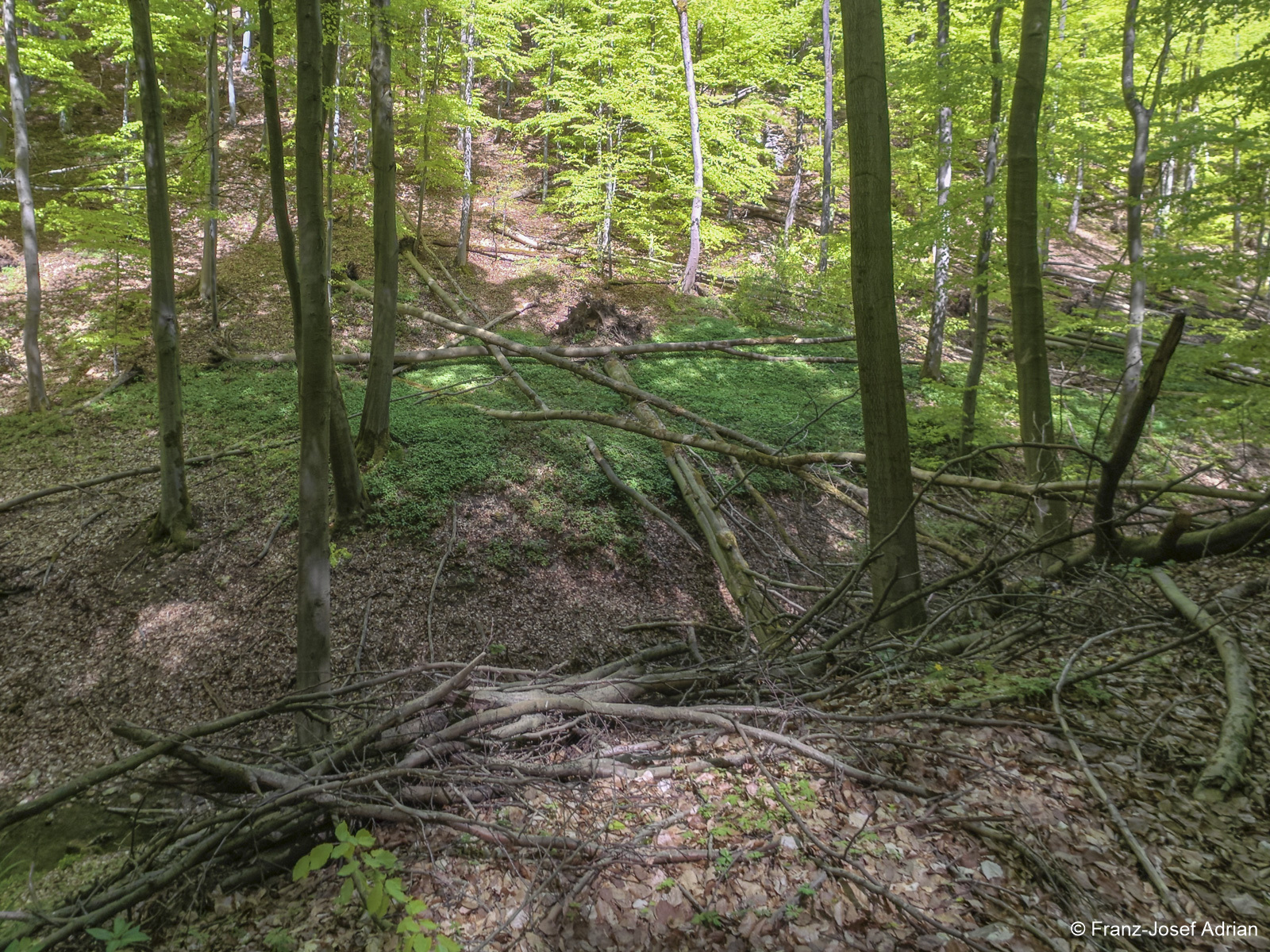 Hoellenbach-23