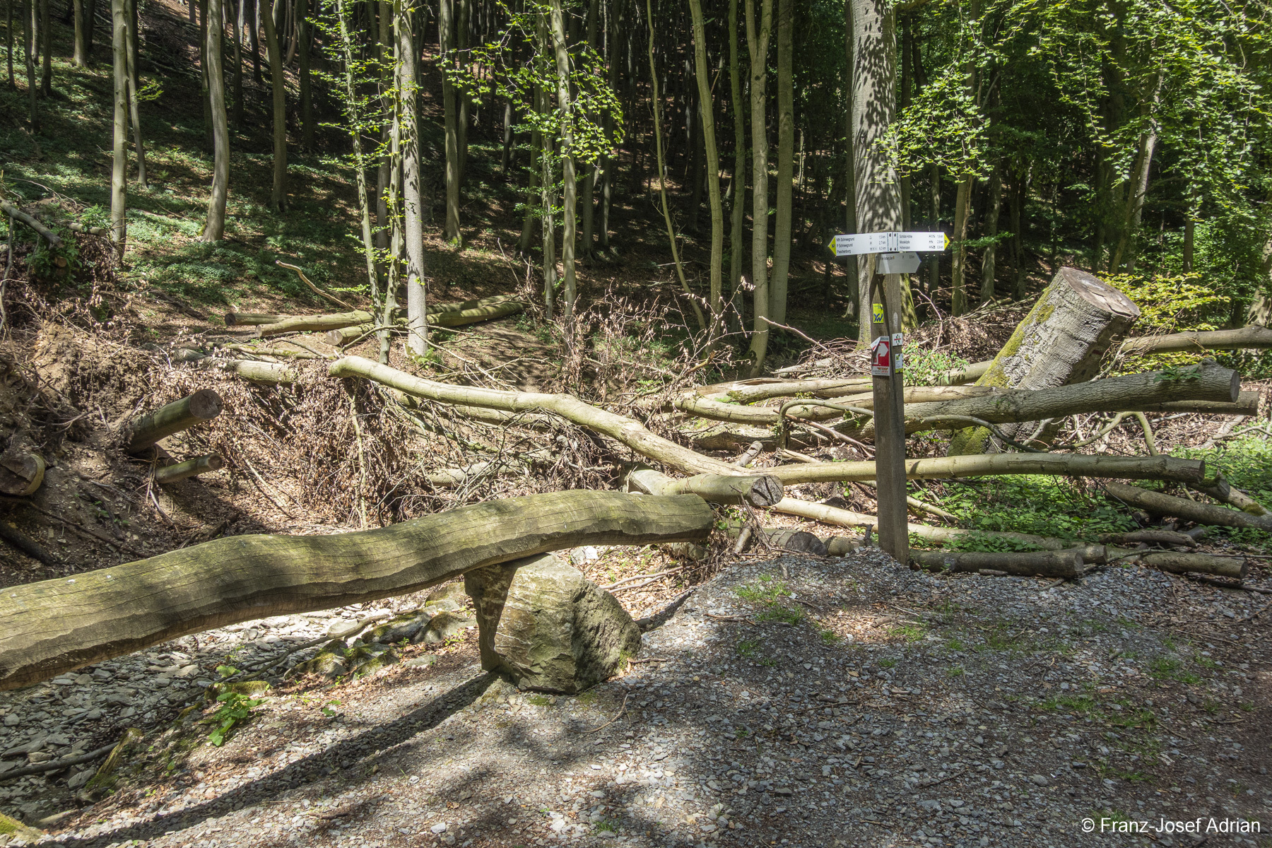 Hoellenbach_2018-1