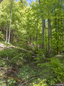 Hoellenbach-10
