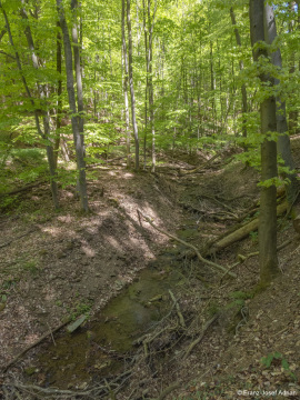 Hoellenbach-12