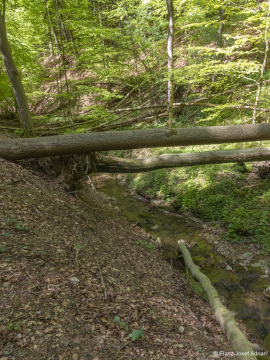 Hoellenbach-13