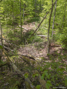 Hoellenbach-20