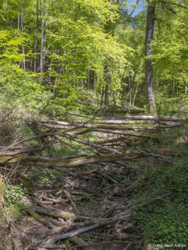 Hoellenbach-6