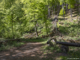 Hoellenbach-8