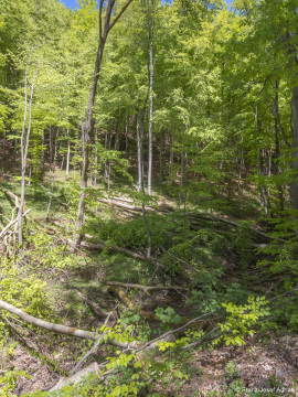 Hoellenbach-9