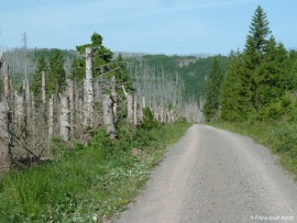 Hoellenstieg-1