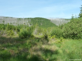 Hoellenstieg-6