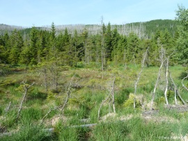 Hoellenstieg-8