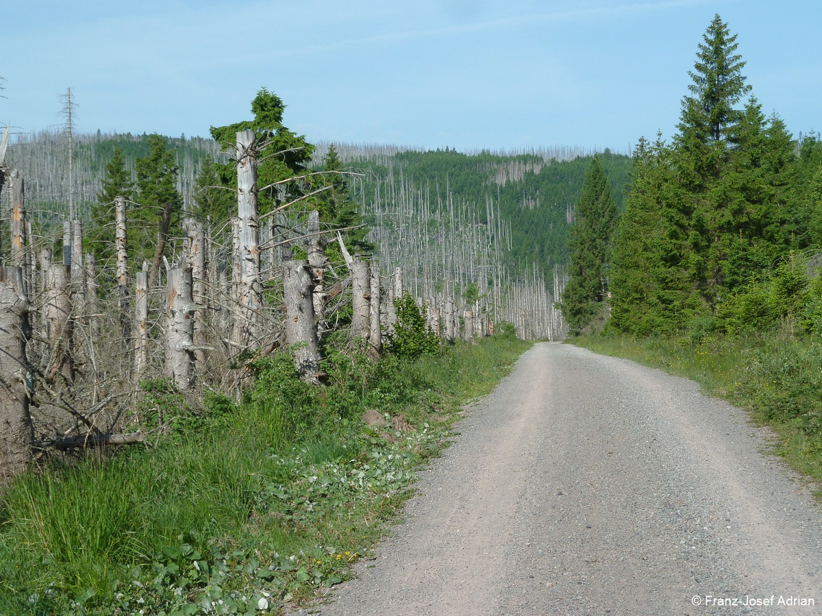 Hoellenstieg-3