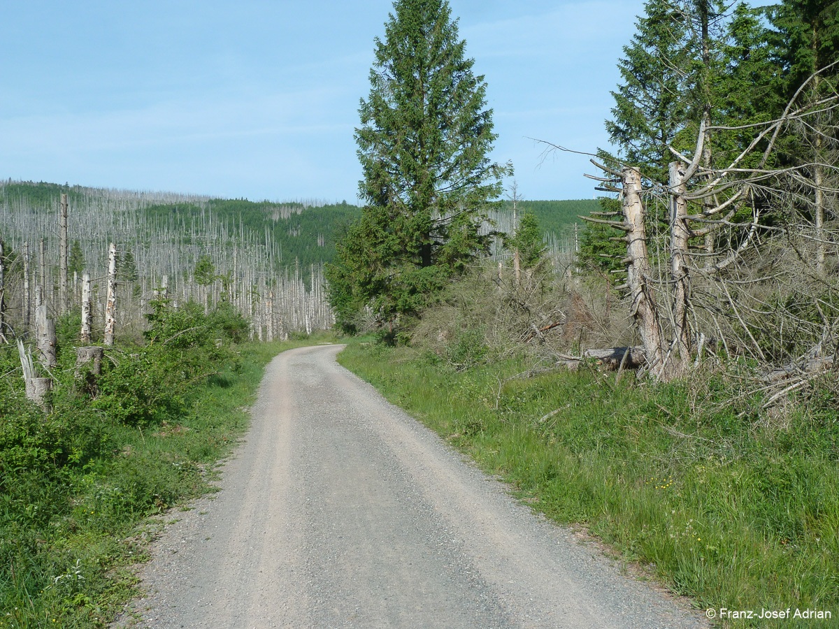 Hoellenstieg-4