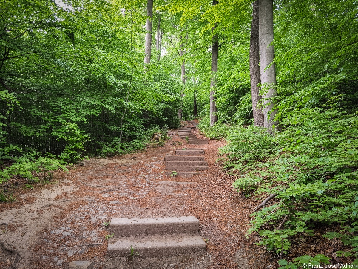 Baerlauch_Hohenstein-14