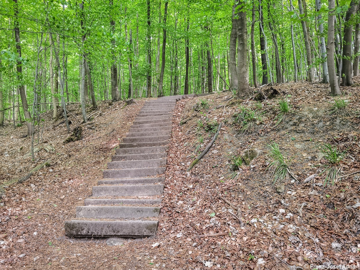 Baerlauch_Hohenstein-26