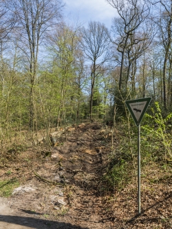 Rückegasse neben Schild zum Naturschutzgebiet