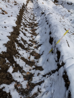 40 cm tiefe Bodengleise in der Rückegasse