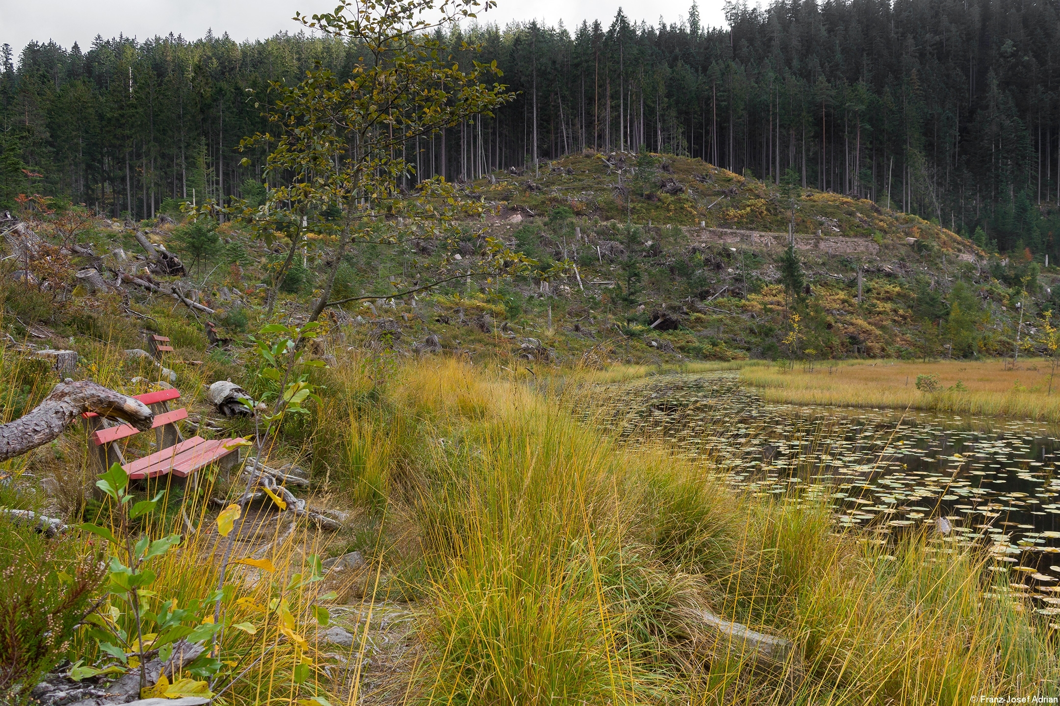 Hutzenbacher_Bank_3