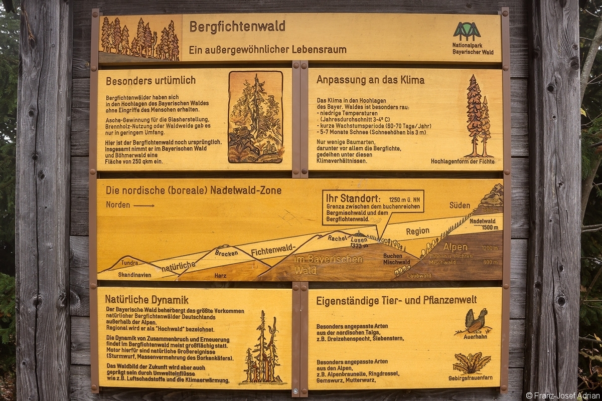 Informationsschild_NLP_Bayerischer_Wald