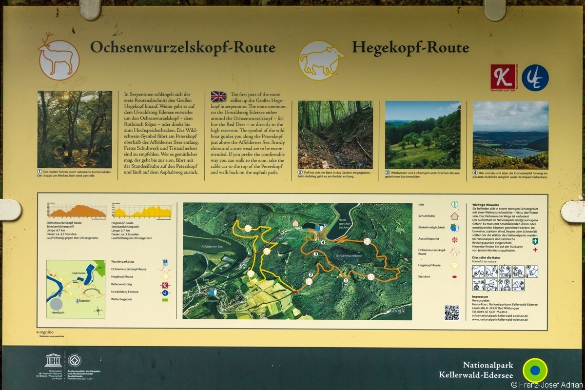 Informationsschild_NLP_Kellerwald