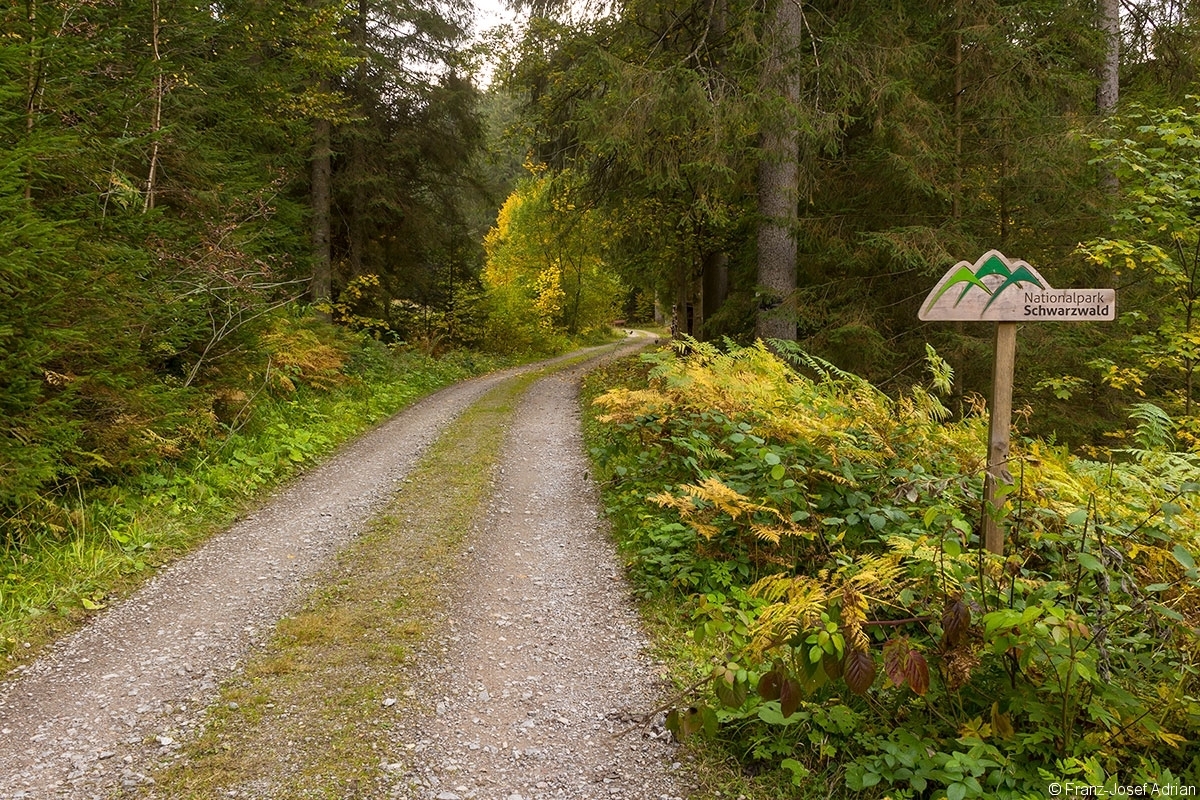 Schild_NLP_Schwarzwald