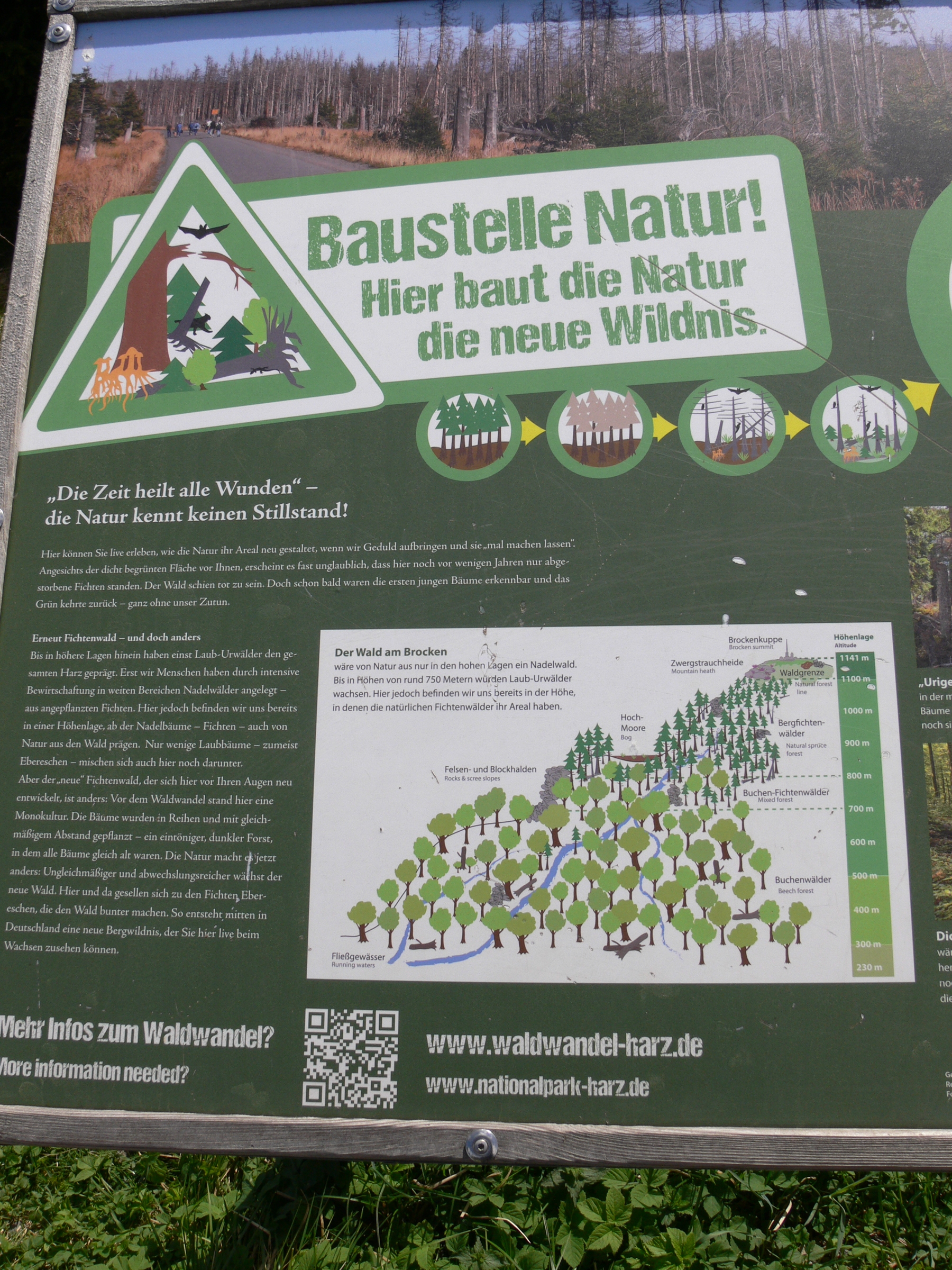 Infotafel-4