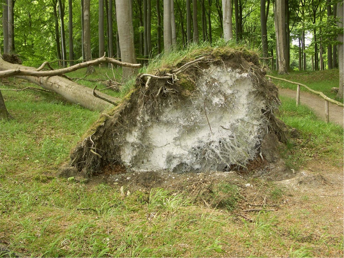 NLP_Jasmund_Kreide_Untergrund