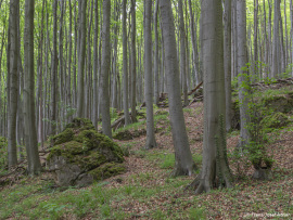 Oberberg-11
