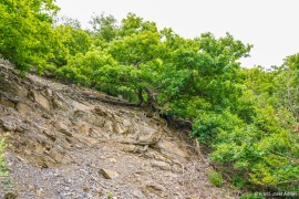 Kahle_Hardt-2