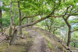 Kahle_Hardt-26