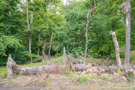 Kahle_Hardt-27