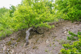 Kahle_Hardt-4