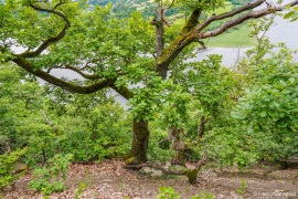 Kahle_Hardt-7