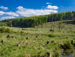 "Initiierung einer Auenlandschaft"