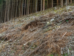 "Förderung seltener Vogelarten"