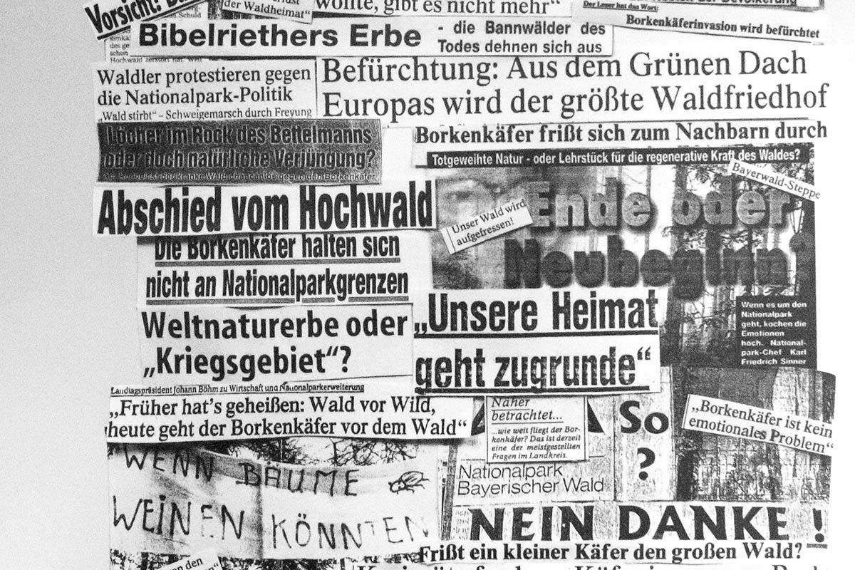 Collage_Zeitungen