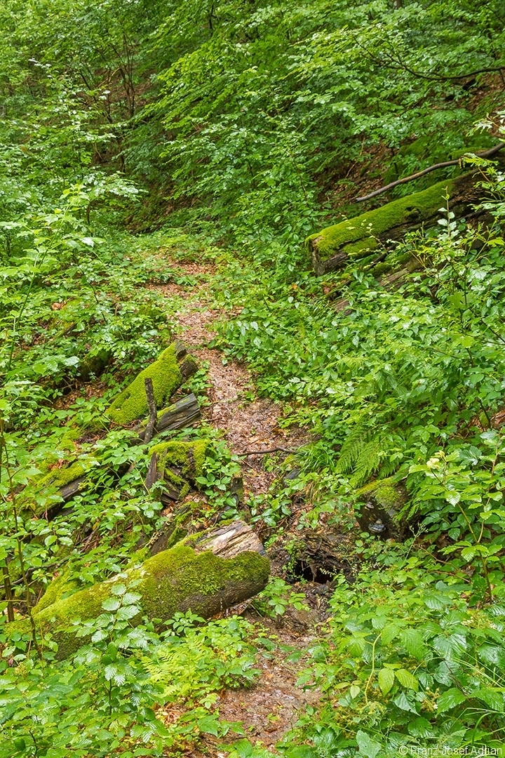 Kamjanyj_Uholka_03