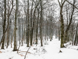Kammweg entlang der Nammer Klippen (rechts)