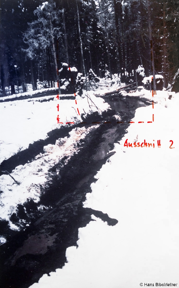 Rückeschäden im Klosterfilz 4.12.1998