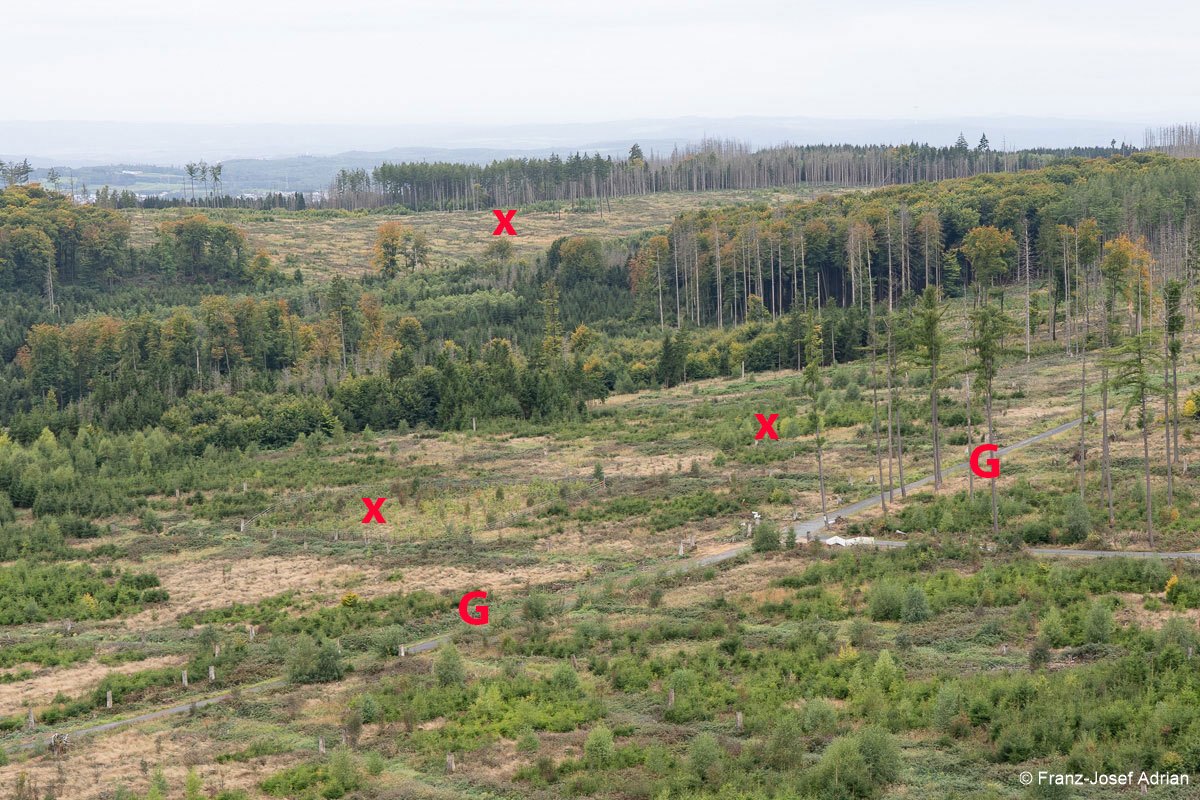 FFH-Gebiet_Raeumungen_Montabaur