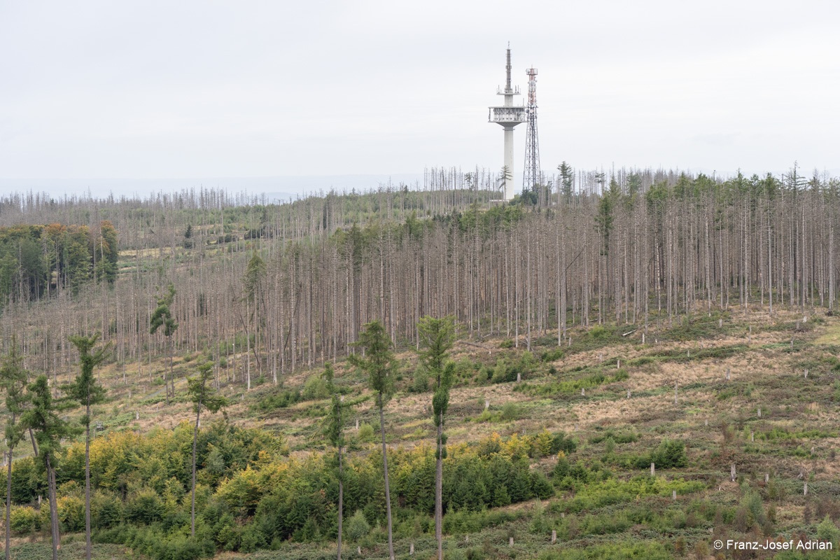 Koeppelturm-4a