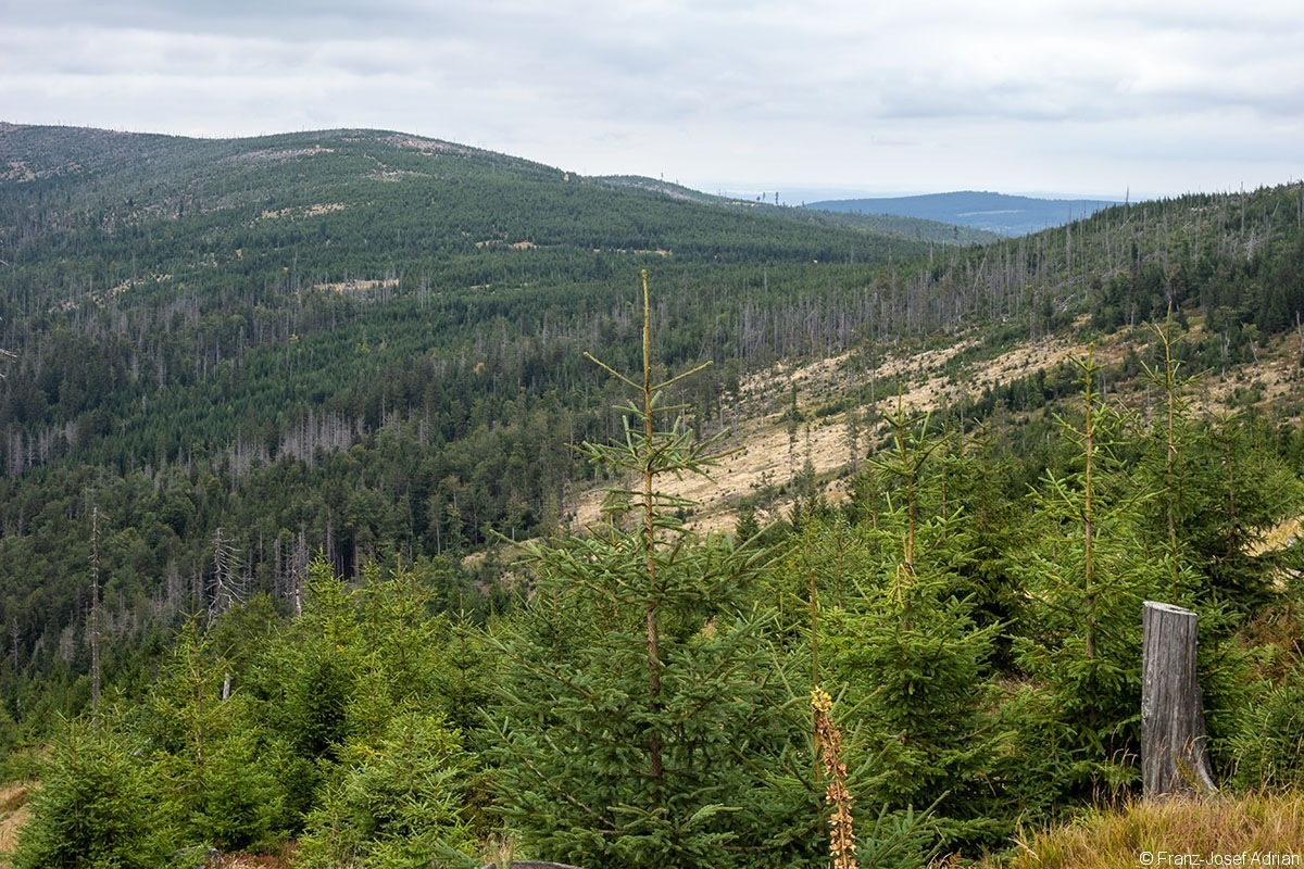 Lackenberg_2019_04