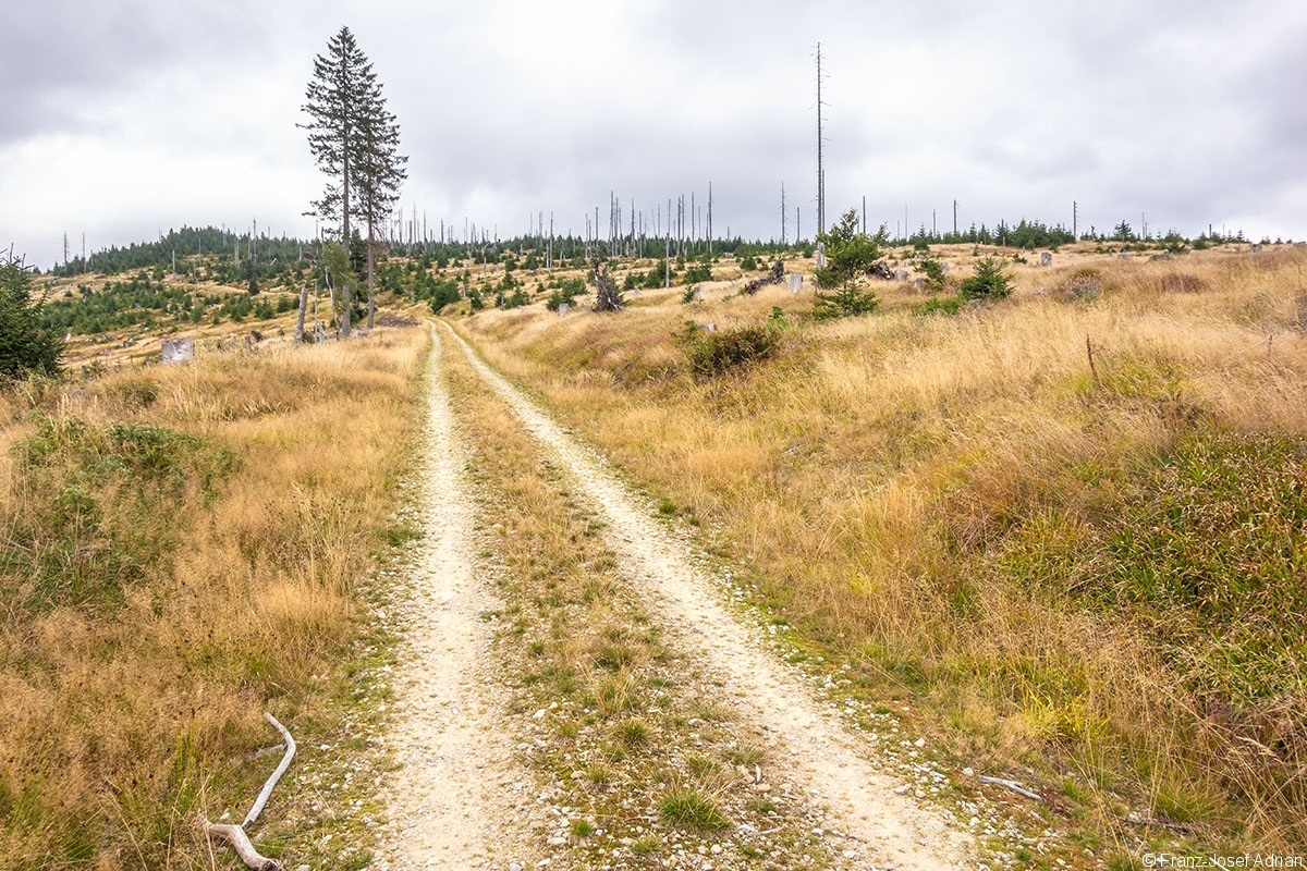 Lackenberg_2019_08