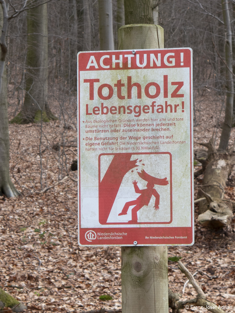 Schilder_Lange_Wande-2