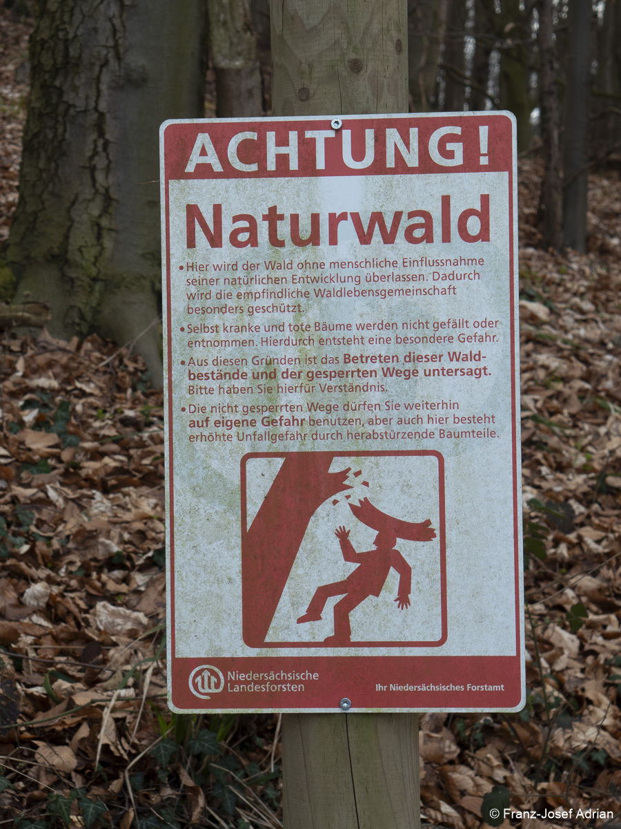 Schilder_Lange_Wande-4