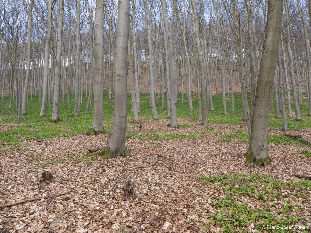 Suedhang_Lange_Wande-4