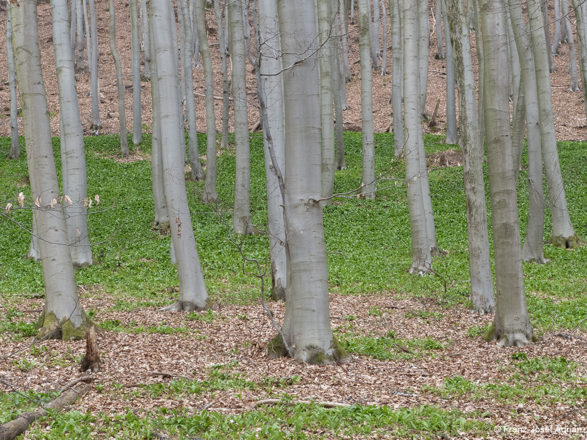 Suedhang_Lange_Wande-5