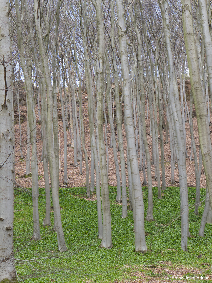Suedhang_Lange_Wande-7