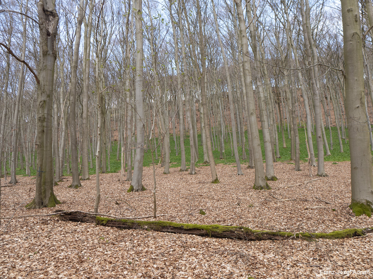 Suedhang_Lange_Wande-8