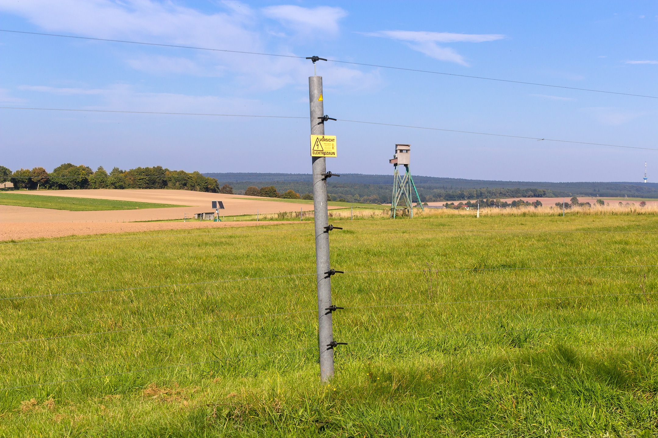 Lichtenau_Wildschaeden_A_1