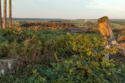 Lichtenau_Kahlschlag_10