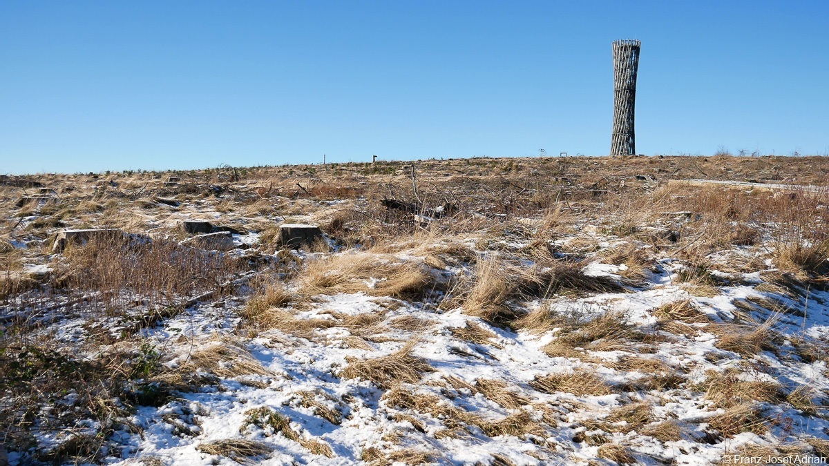 Loermecketurm-17